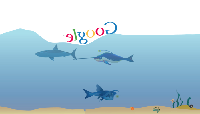 google underwater