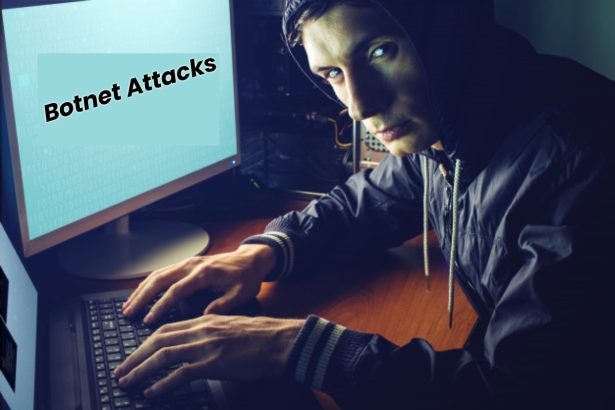 Botnet attacks