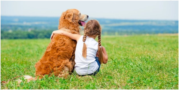 Calm dog breeds