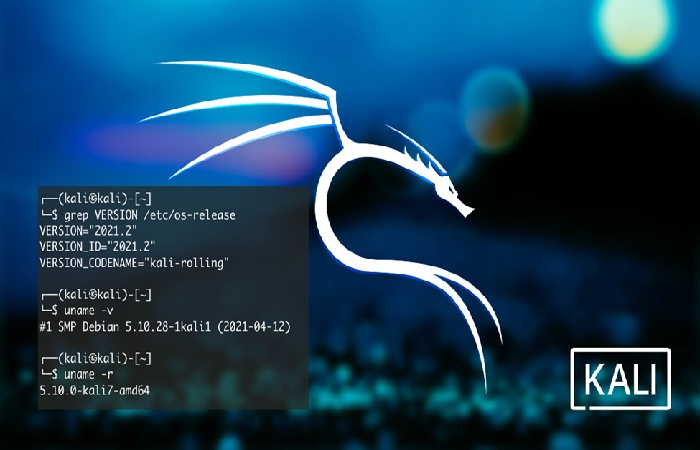 Kali Linux