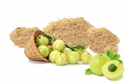 wellhealthorganic.com amla-powder-uses-for-hair-and-others