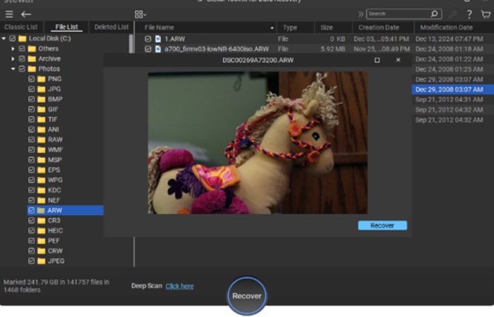 Stellar data recovery software previewing recovered image file with file list and recovery option